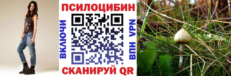 Псилоцибиновые грибы GOLDEN TEACHER Владивосток